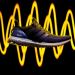 adidas present&oacute; las Ultra Boost, &ldquo;las mejores zapatillas de running de la historia&rdquo;