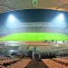 Venta de entradas para la final de la Sudamericana: precios y qui&eacute;nes pueden comprar