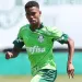 Las ventas de jugadores impulsan ingresos r&eacute;cord del Palmeiras