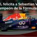 Total festeja el cuarto t&iacute;tulo consecutivo de Vettel